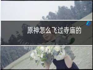 原神怎么飞过寺庙的