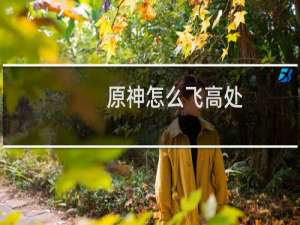 原神怎么飞高处