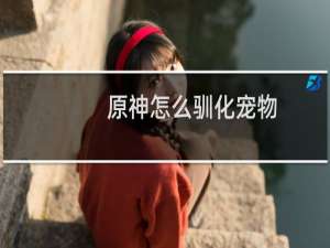 原神怎么驯化宠物