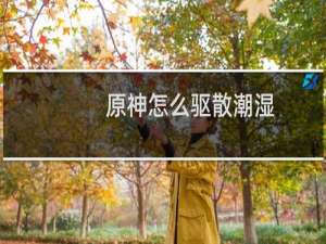 原神怎么驱散潮湿