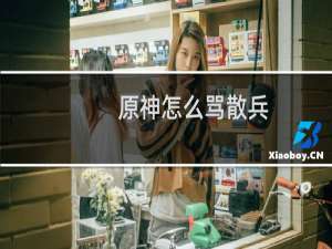 原神怎么骂散兵