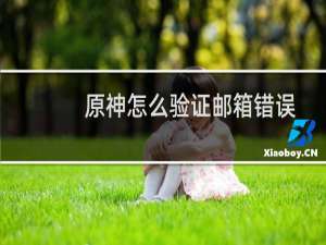 原神怎么验证邮箱错误