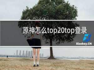 原神怎么top top登录