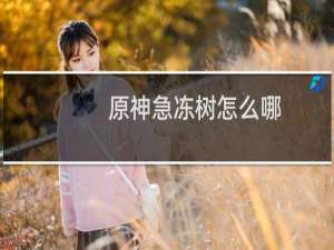 原神急冻树怎么哪