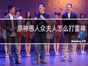 原神愚人众夫人怎么打雷神