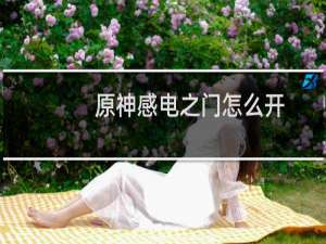 原神感电之门怎么开