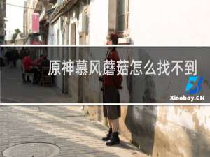 原神慕风蘑菇怎么找不到