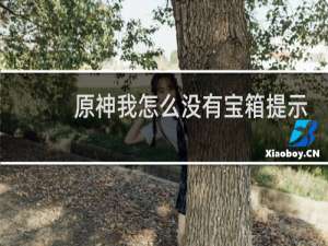 原神我怎么没有宝箱提示