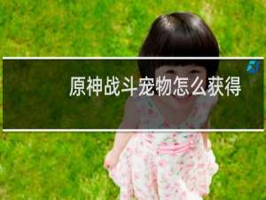 原神战斗宠物怎么获得