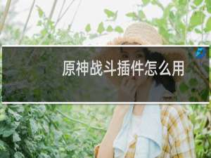原神战斗插件怎么用