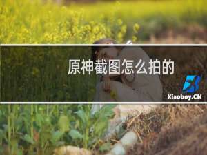 原神截图怎么拍的
