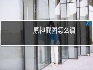 原神截图怎么调