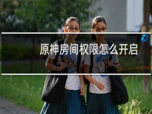 原神房间权限怎么开启