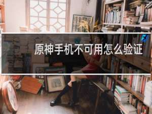原神手机不可用怎么验证