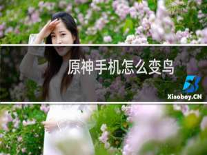 原神手机怎么变鸟