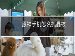 原神手机怎么抓晶核