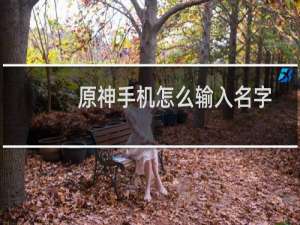 原神手机怎么输入名字