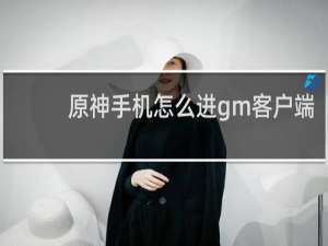 原神手机怎么进gm客户端