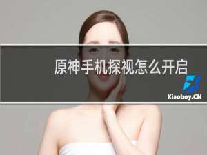 原神手机探视怎么开启