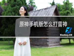 原神手机版怎么打雷神