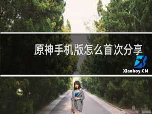 原神手机版怎么首次分享