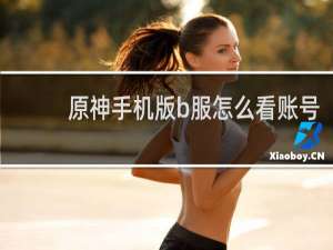 原神手机版b服怎么看账号