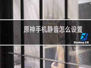 原神手机静音怎么设置