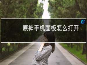 原神手机面板怎么打开