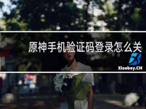 原神手机验证码登录怎么关