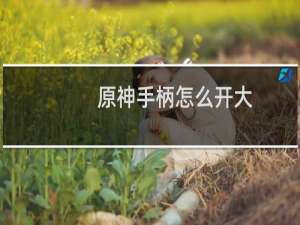 原神手柄怎么开大