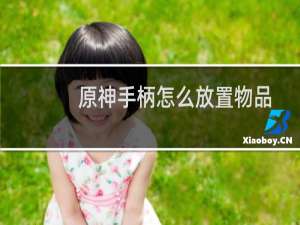 原神手柄怎么放置物品