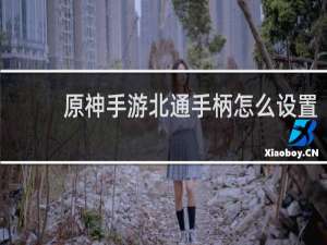 原神手游北通手柄怎么设置