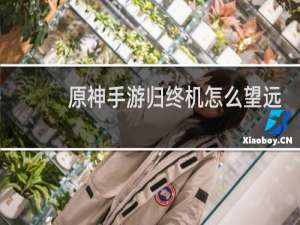原神手游归终机怎么望远