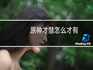 原神才慧怎么才有