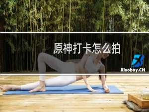 原神打卡怎么拍