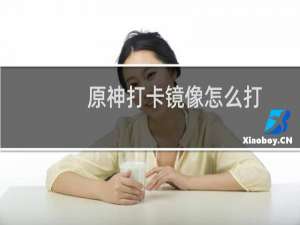 原神打卡镜像怎么打