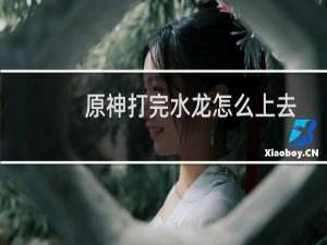 原神打完水龙怎么上去