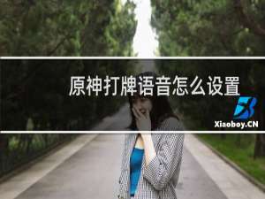 原神打牌语音怎么设置