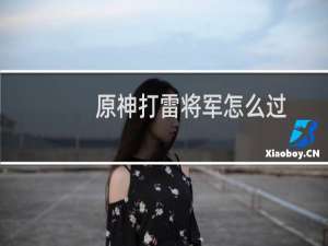原神打雷将军怎么过