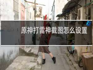 原神打雷神截图怎么设置