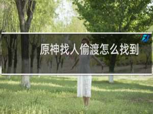 原神找人偷渡怎么找到