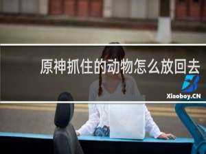 原神抓住的动物怎么放回去