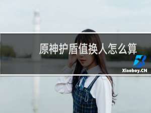 原神护盾值换人怎么算