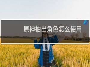 原神抽出角色怎么使用