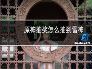 原神抽奖怎么抽到雷神