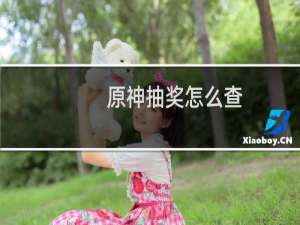 原神抽奖怎么查