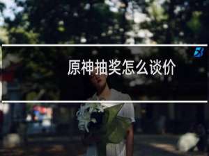 原神抽奖怎么谈价