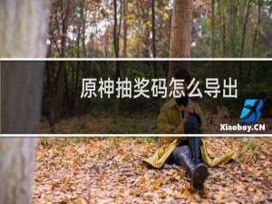 原神抽奖码怎么导出