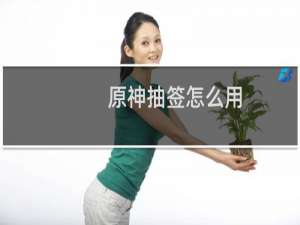 原神抽签怎么用