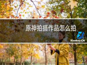 原神拍摄作品怎么拍